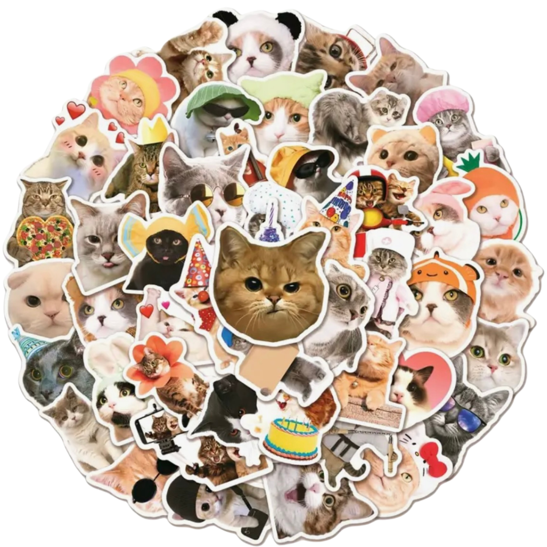 6 Stickers Pack